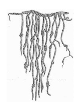 La imagen tiene un atributo ALT vacío; su nombre de archivo es quipu-2.png